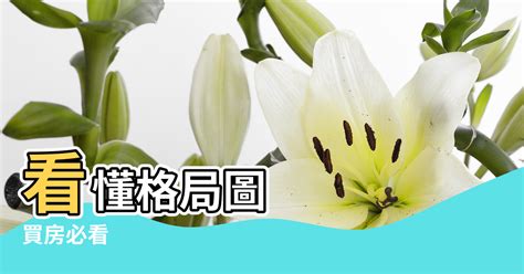 套房格局風水|買房必看》看懂格局圖、平面圖，才能找到理想的家！。